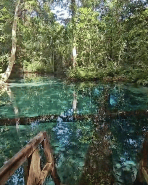 Design sem nome (25)